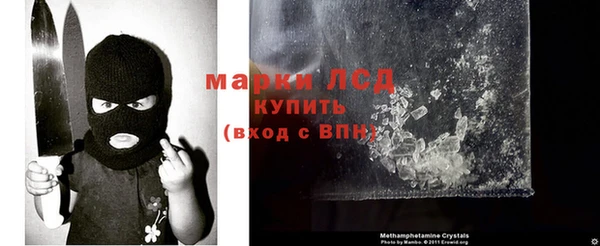apvp Алзамай