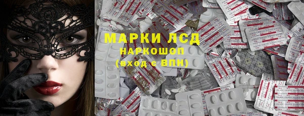 apvp Алзамай