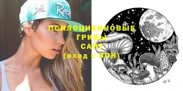 apvp Алзамай