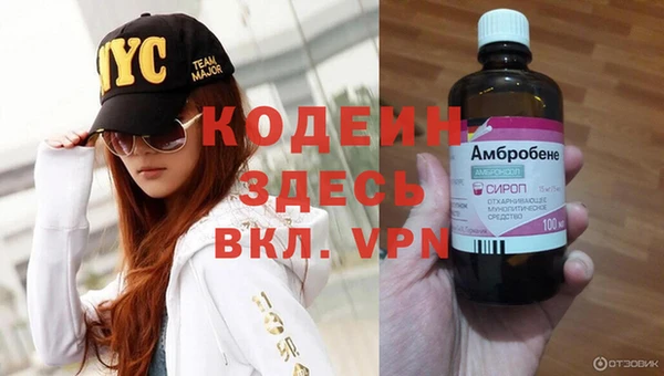 apvp Алзамай