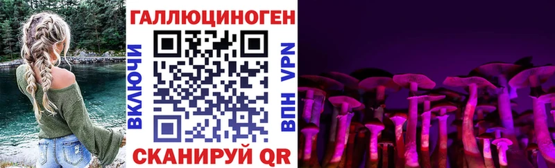 МЕГА tor  Палласовка  Псилоцибиновые грибы Cubensis 